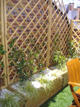 Majadahonda (Madrid)